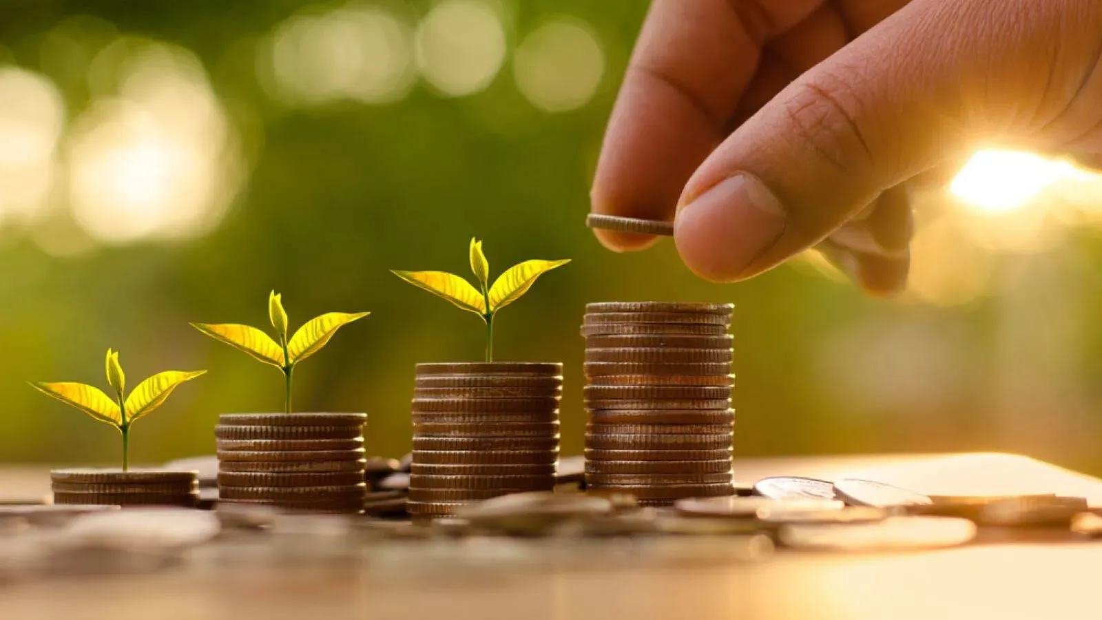 Money and finance